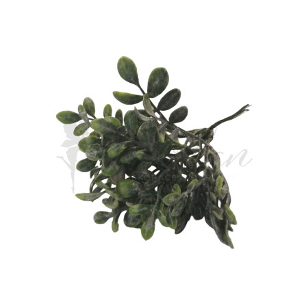 Větvička buxus - sada 6ks