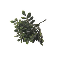 Větvička buxus - sada 6ks