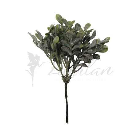 Větvička buxus - sada 6ks