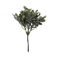 Větvička buxus - sada 6ks