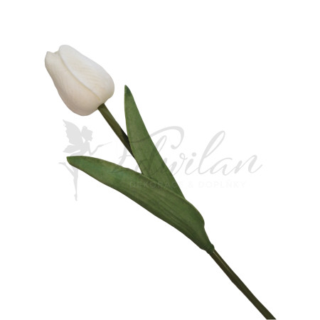 Pěnový tulipán bílý - 12ks