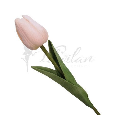 Pěnový tulipán (peach) - 12ks