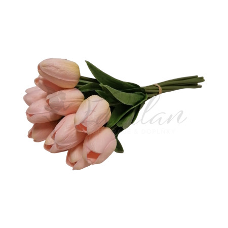Pěnový tulipán (peach) - 12ks