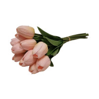 Pěnový tulipán (peach) - 12ks