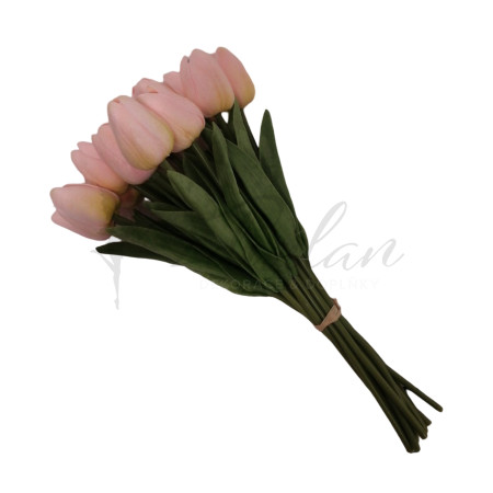 Pěnový tulipán (peach) - 12ks