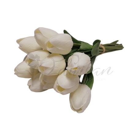 Pěnový tulipán bílý - 12ks