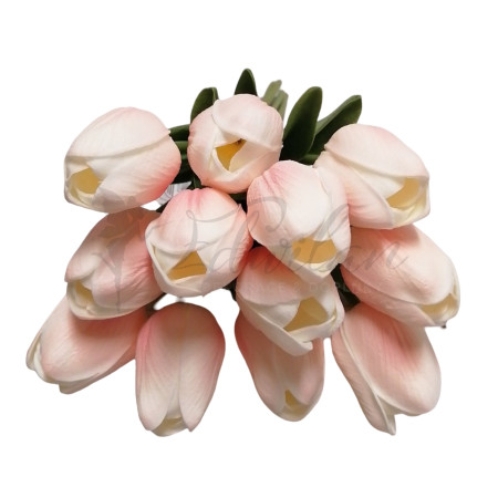 Pěnový tulipán (pk/peach)  - 12ks