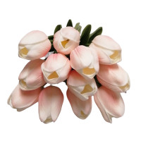 Pěnový tulipán (pk/peach)  - 12ks