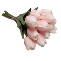 Pěnový tulipán (pk/peach)  - 12ks