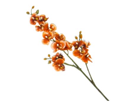 Mini orchidej UK200